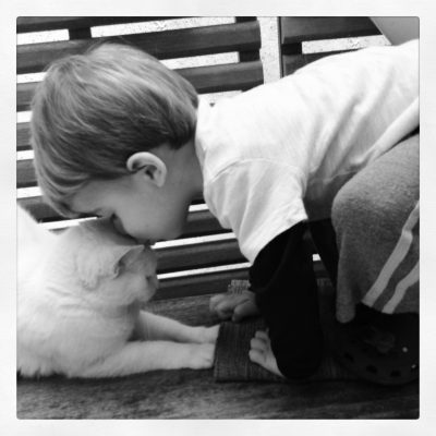crianças e animais de estimação