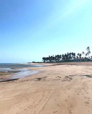 praia do marceneiro