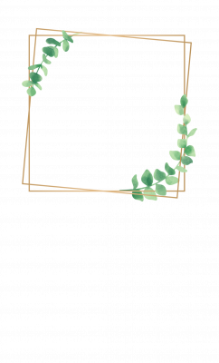 moldura plantas