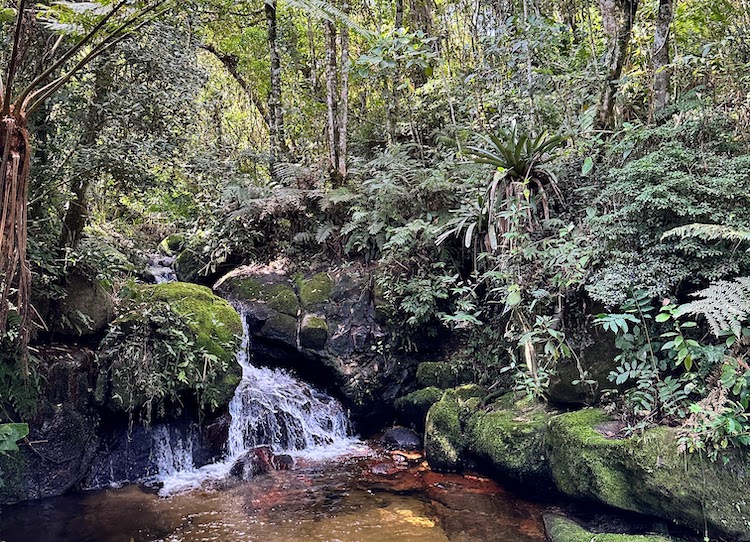 Cunha Cachoeira das Bromélias