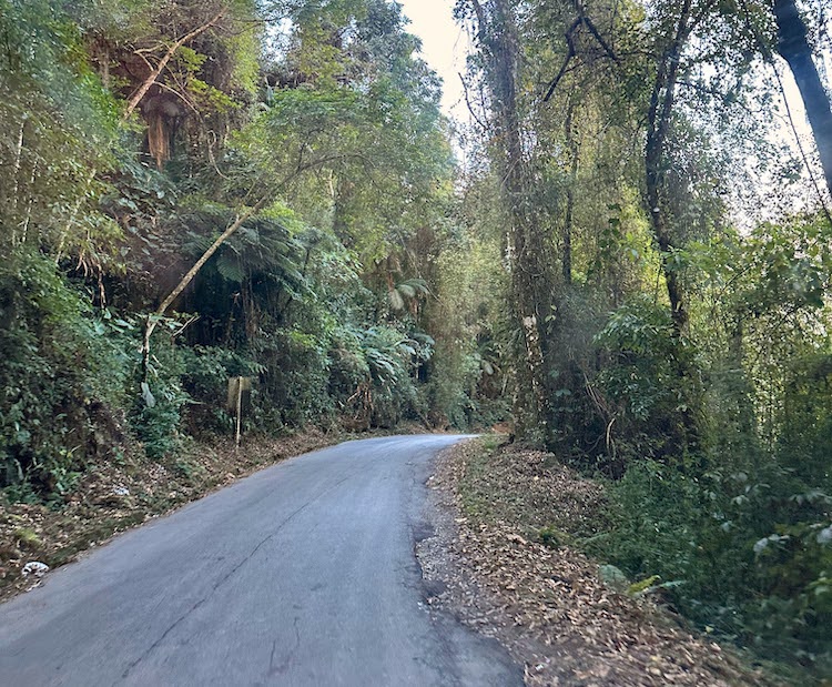 Estrada Paraty Cunha