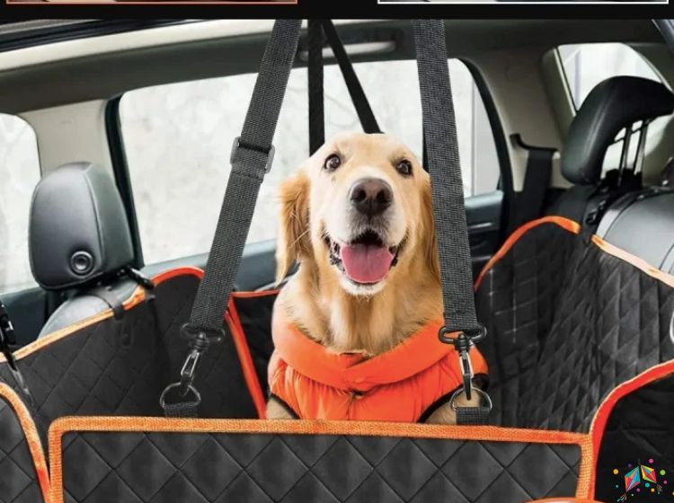 viajar de carro com cachorro