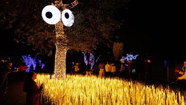 Brilha Sonhos no Parque Villa Lobos