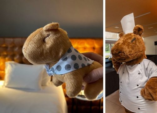 Image: Conhecemos o Pullman Guarulhos, um hotel para curtir sem precisar viajar longe